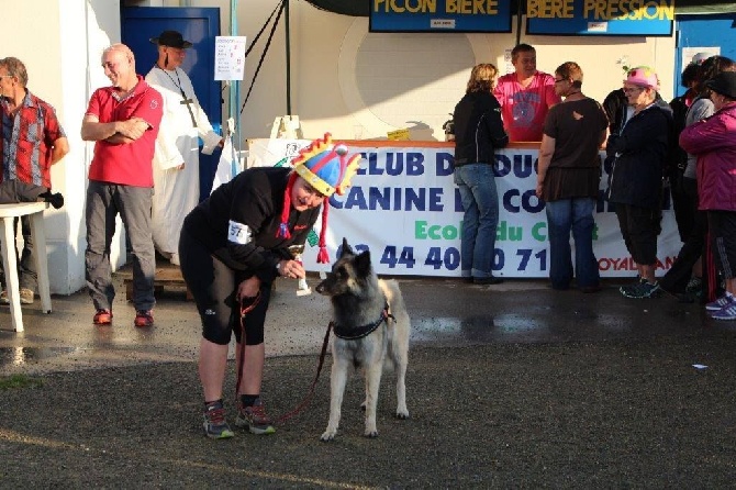 De La Carrière Du Dragon - Heidi débute brillamment les concours d'agility