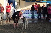  - Heidi débute brillamment les concours d'agility